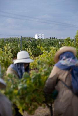 Esporao Alentejo Douro e Vinho Verde